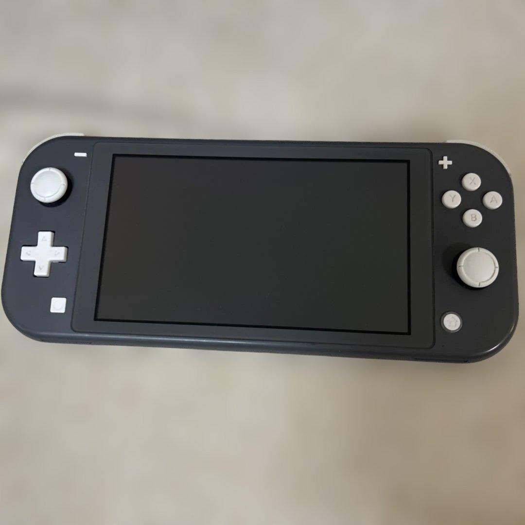 Nintendo Switch Lite グレー　箱、収納ケース付き