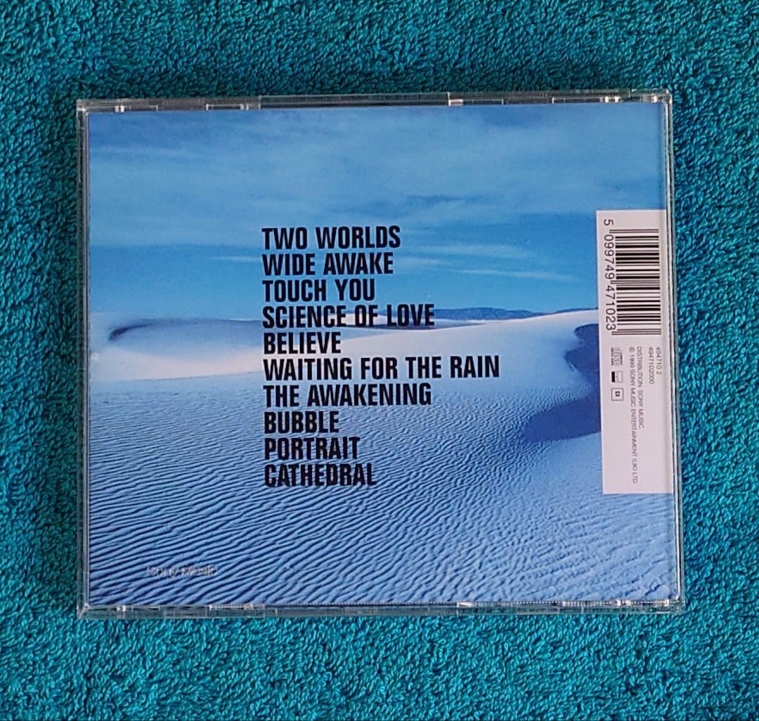 【レア盤❗】ケルツ　ポートレイト　ＣＤ　ママズ・ボーイズ解散後に組んだバンドです