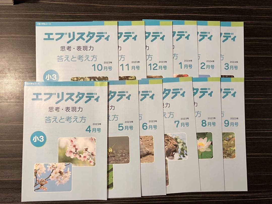 Z会　小3 エブリスタディ（ハイレベル）、思考・表現力