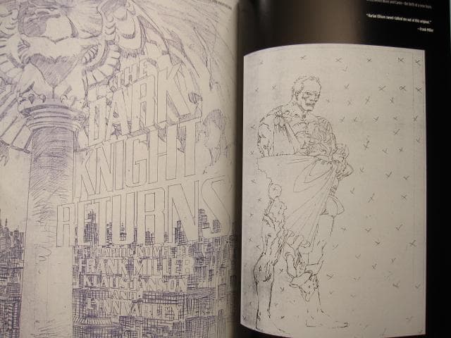 Absolute The Dark Knight　BATMAN　バットマン