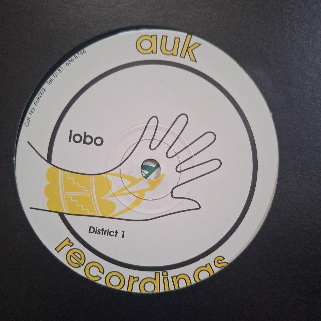テクノ auk recordings ハードミニマル レコード 6枚セット