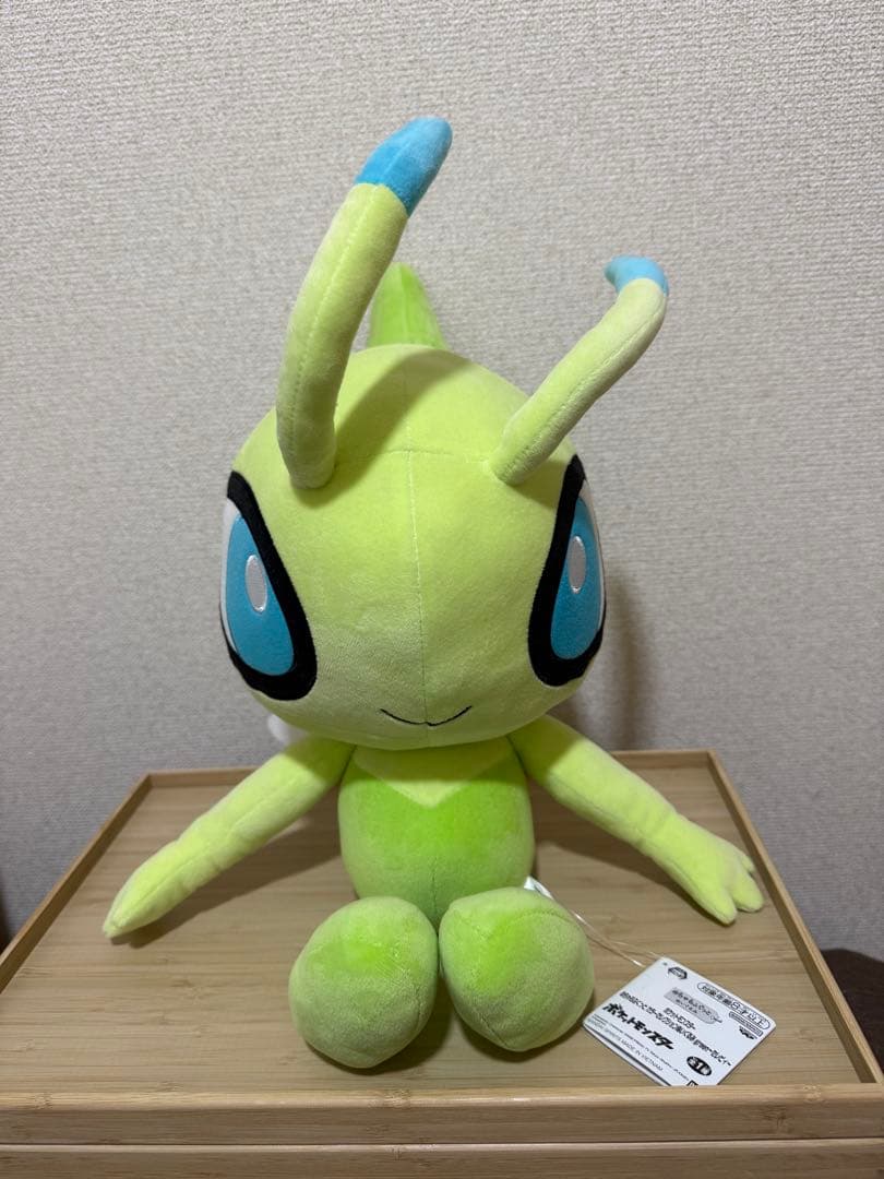 ポケモン ぬいぐるみ12体　ホゲータ　ゴンベ　テラパゴス他 合計14点まとめ売り