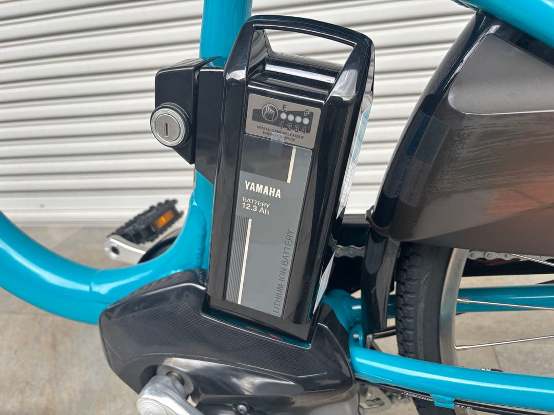 PAS with 電動アシスト自転車 シティタイプ
