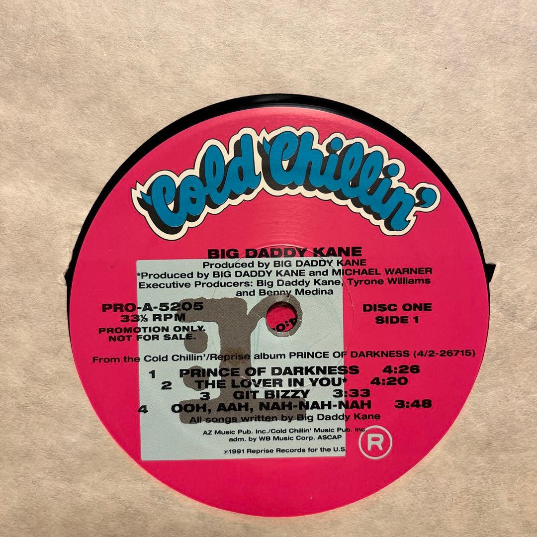 BIG DADDY KANE Prince of Darkness2枚組レコード