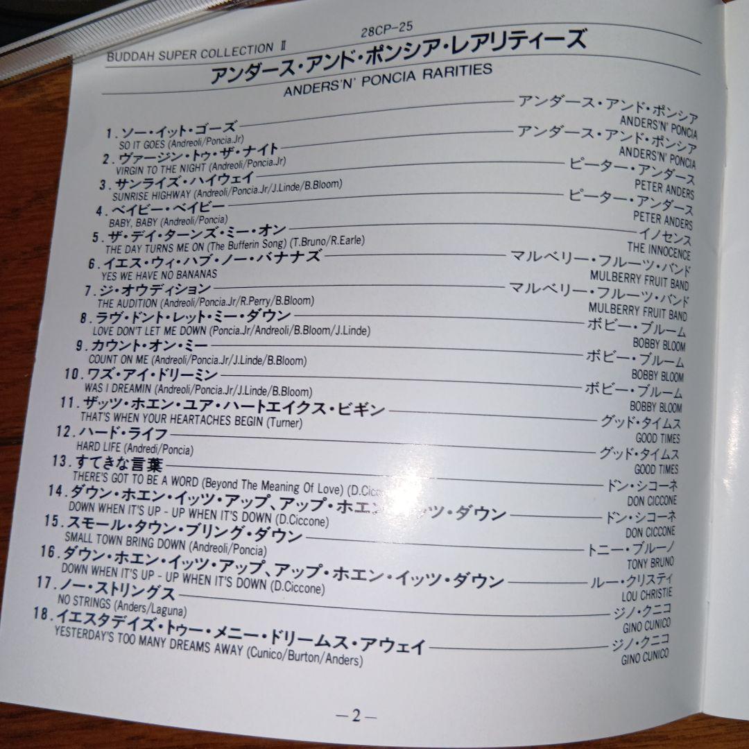 レア廃盤ANDERS 'N' PONCIA RARITIES　大滝詠一　永井博
