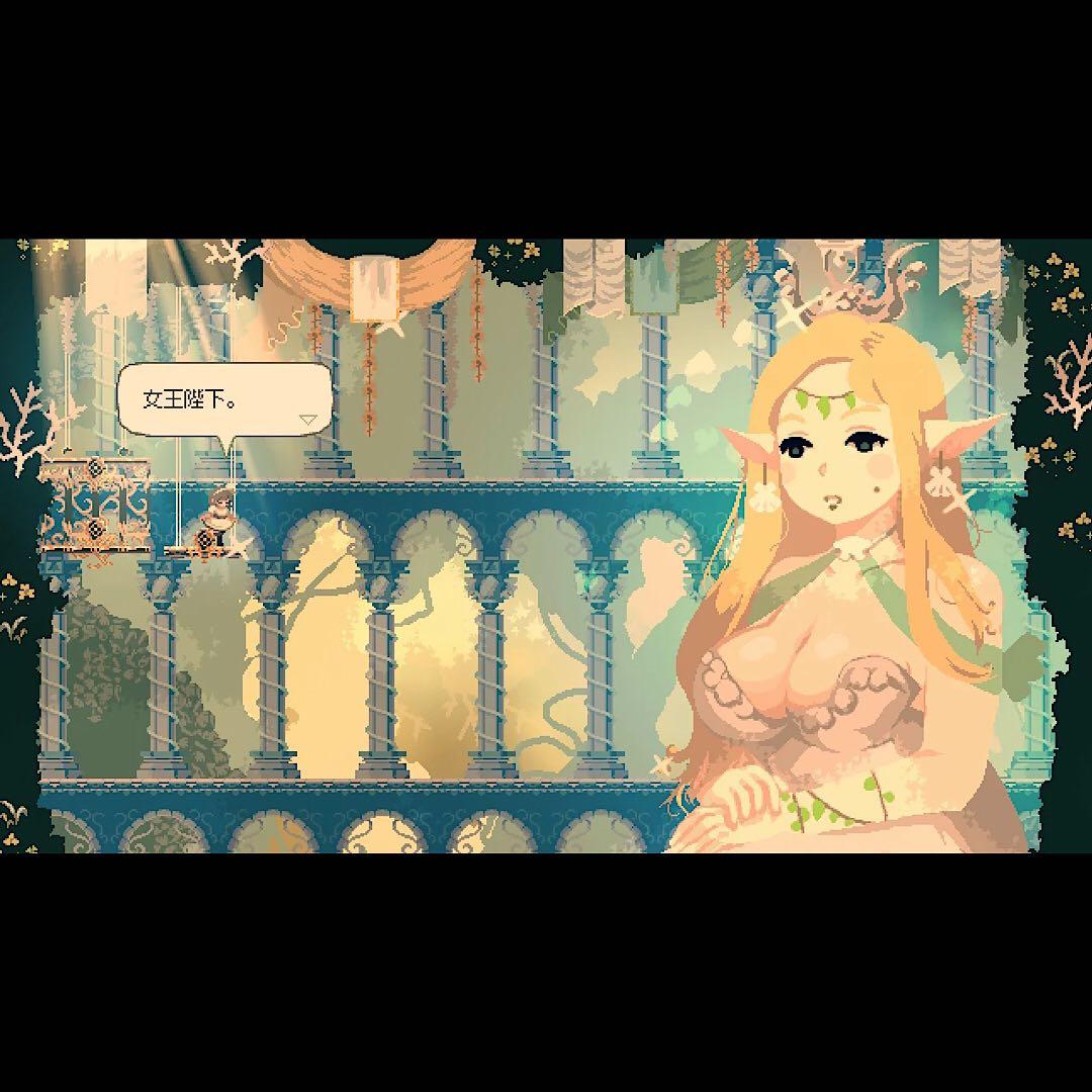 Momodora: 月影のエンドロール コレクターズエディション switch