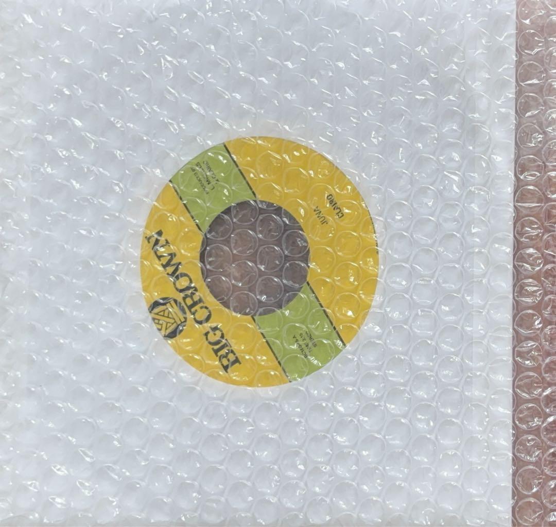 洋楽 Clairo (BIG CROWN) Juna/Terrapin 7inch