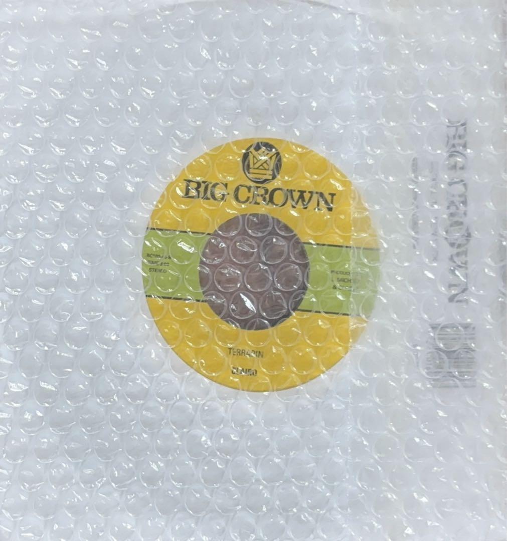 洋楽 Clairo (BIG CROWN) Juna/Terrapin 7inch