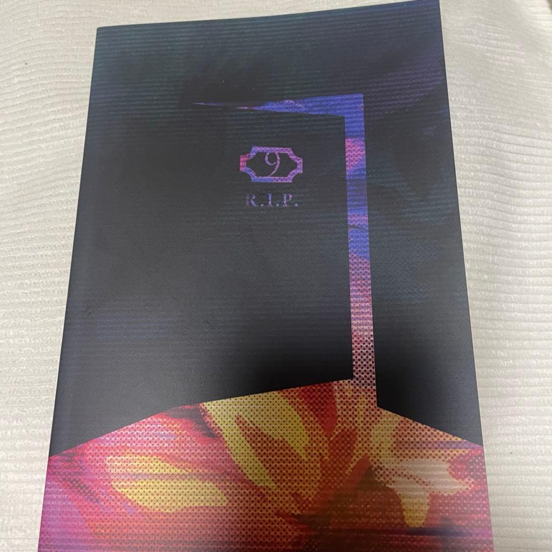 9 R.I.P 限定版 ナインリップ オトメイト Switchソフト