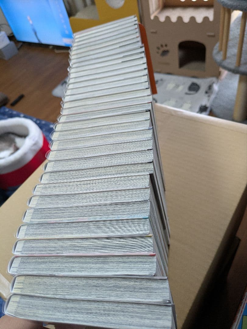 呪術廻戦 全30巻＋0.5巻 0巻　セット
