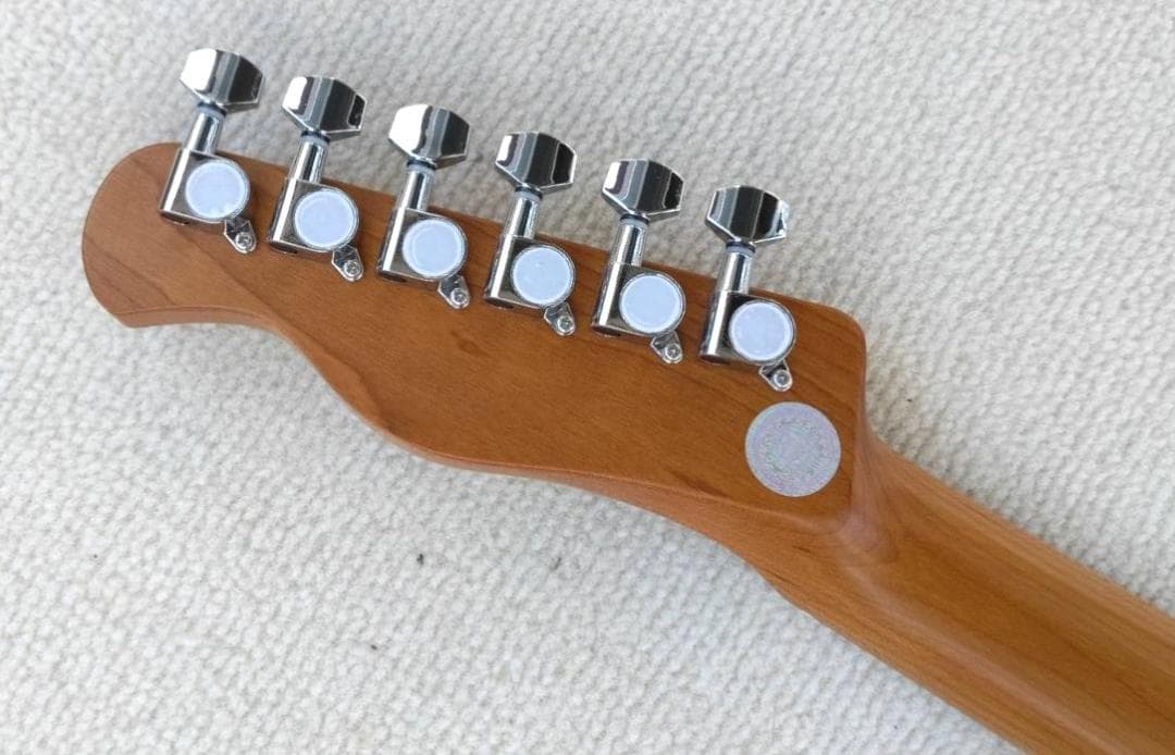 ✨本日限定✨Bacchus Telecaster Blonde2HH Model