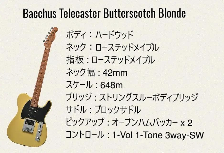✨本日限定✨Bacchus Telecaster Blonde2HH Model