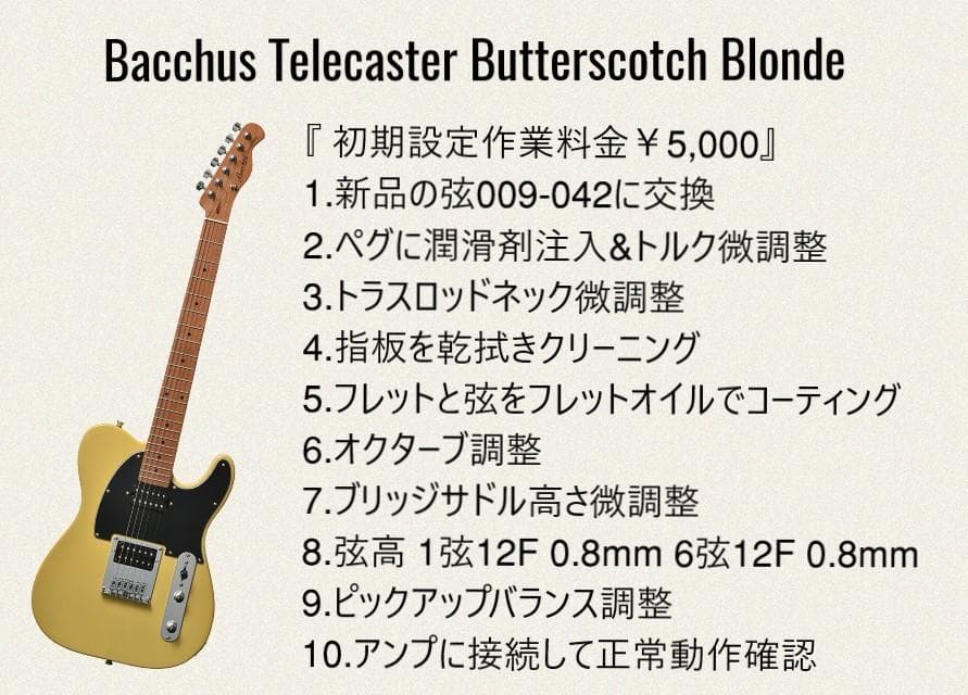 ✨本日限定✨Bacchus Telecaster Blonde2HH Model