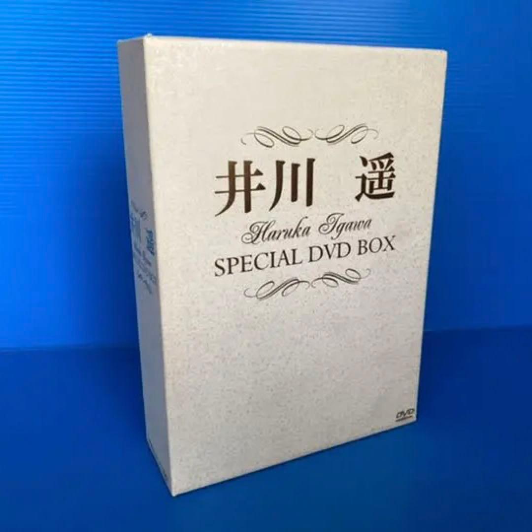 【セール開催中‼️】井川遥 Special DVD BOX 特典付