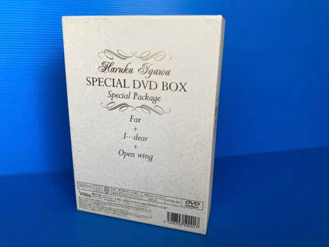 【セール開催中‼️】井川遥 Special DVD BOX 特典付