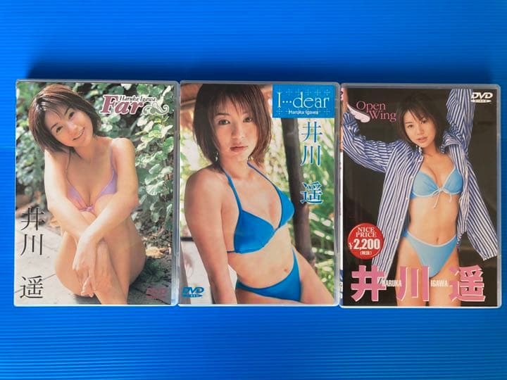 【セール開催中‼️】井川遥 Special DVD BOX 特典付