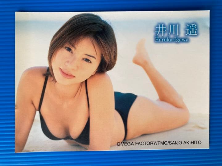【セール開催中‼️】井川遥 Special DVD BOX 特典付