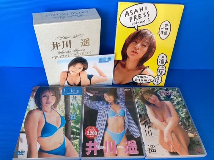 【セール開催中‼️】井川遥 Special DVD BOX 特典付