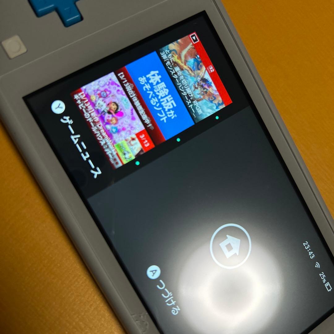 Nintendo Switch Lite 本体　ザシアンザマゼンタ ジャンク