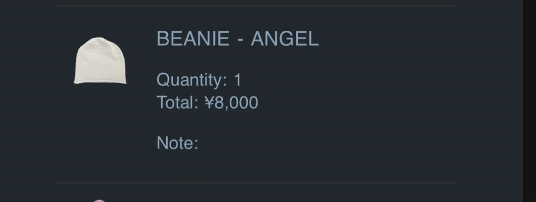 帽子 SKYLRK KNIT BEANIE ANGEL