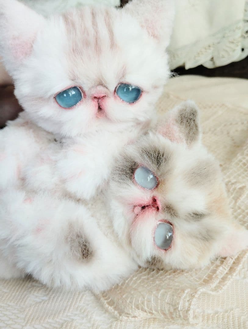 おふぅちゃん❤オーダー❤双子の子猫ちゃん♡アートドール♡ぬいぐるみ♡