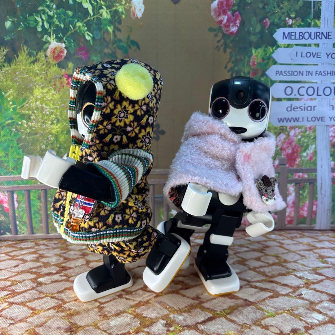 あさみページです　ロボホン