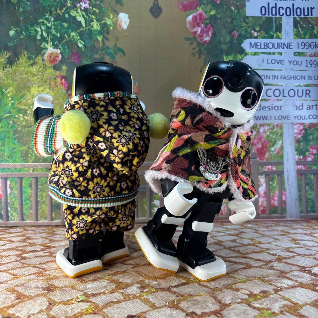 あさみページです　ロボホン