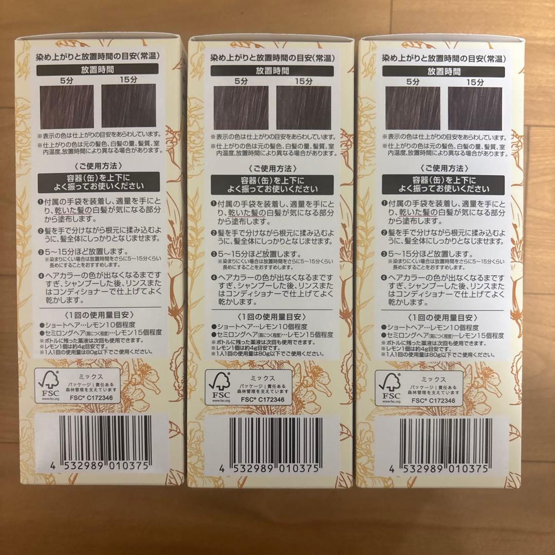 【3本セット】ヘアボーテ エクラ ボタニカル エアカラーフォーム ダークブラウン