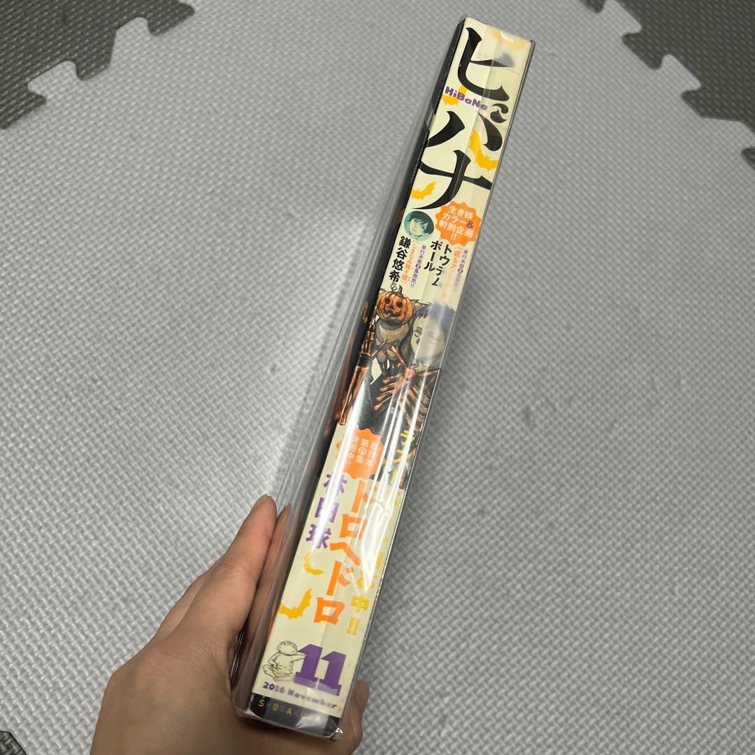 ヒバナ ドロヘドロ 林田球 2016年11月号 表紙