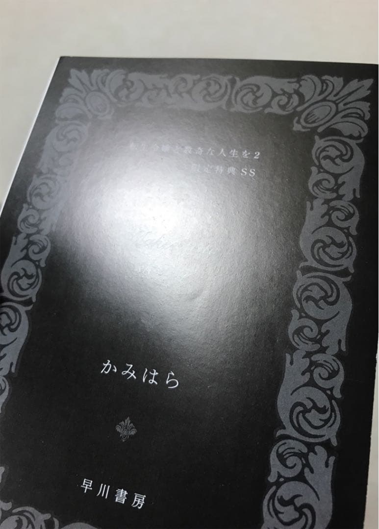 《特典のみ》転生令嬢と数奇な人生を2 落城と決意