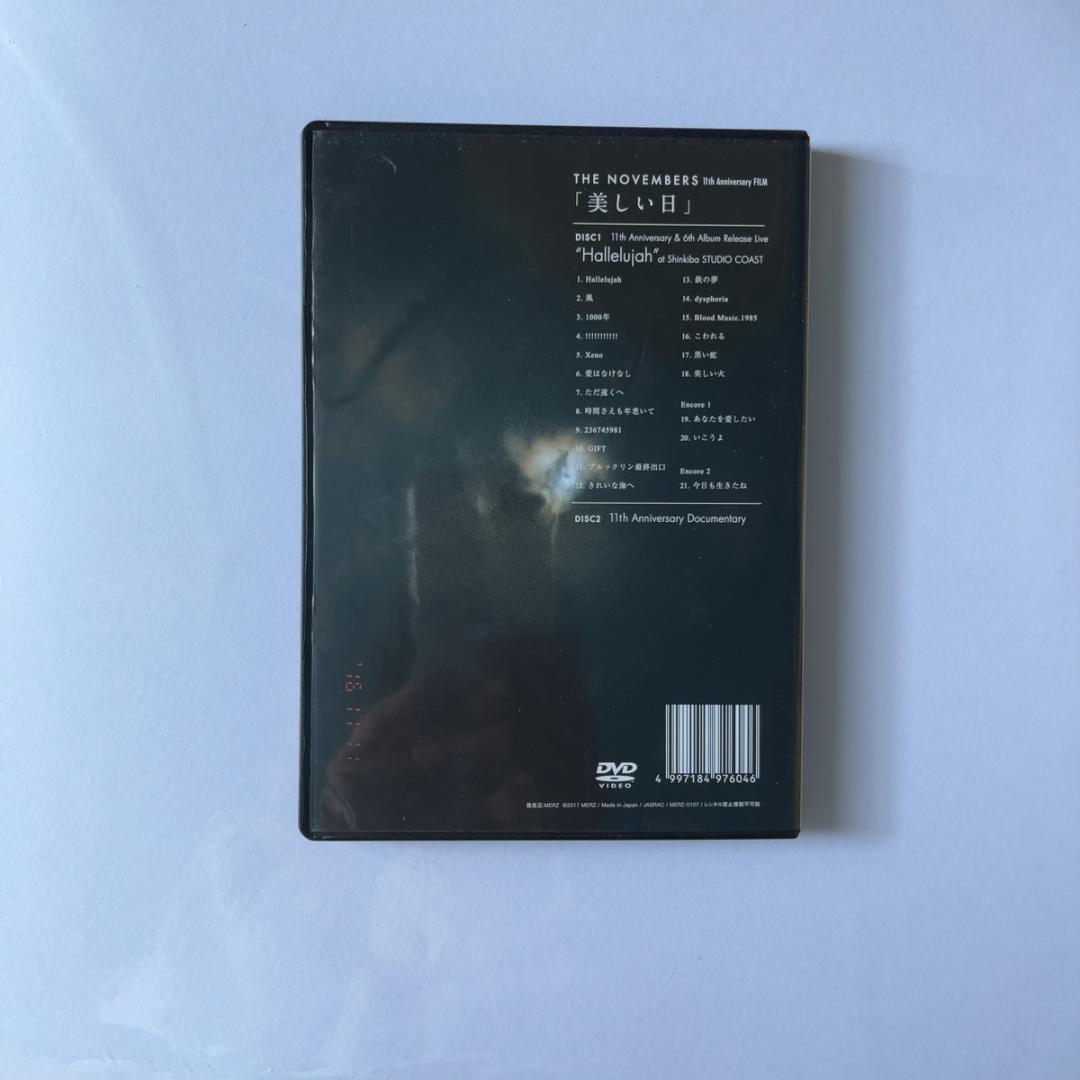 THE NOVEMBERS 美しい日 DVD 匿名配送