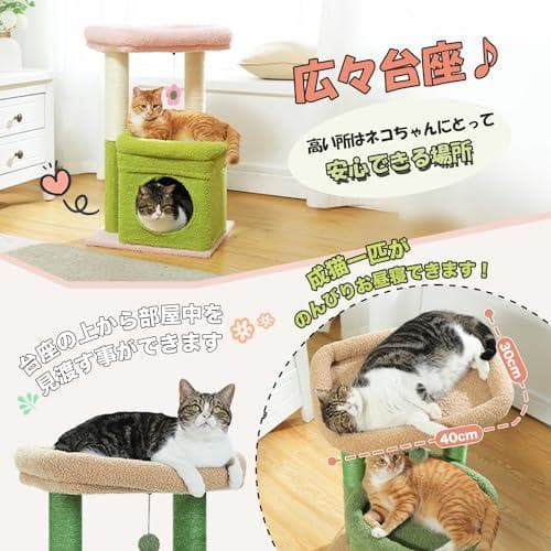 PAWZ Road キャットタワー ミニ 猫タワー 小型 低い 小さめ 据え置p