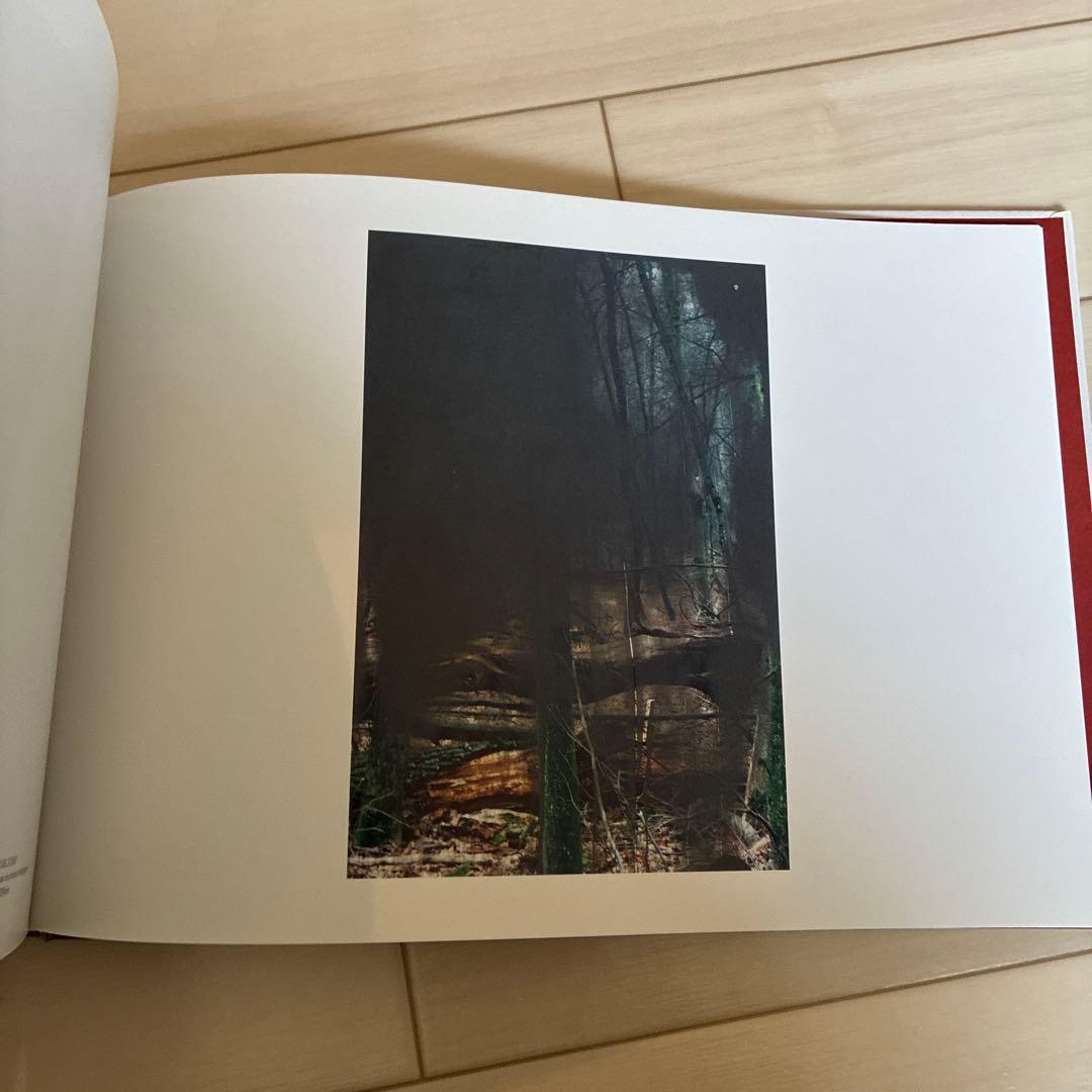 アート・デザイン・音楽 GERHARD RICHTER DRAWINGS 1999-2021