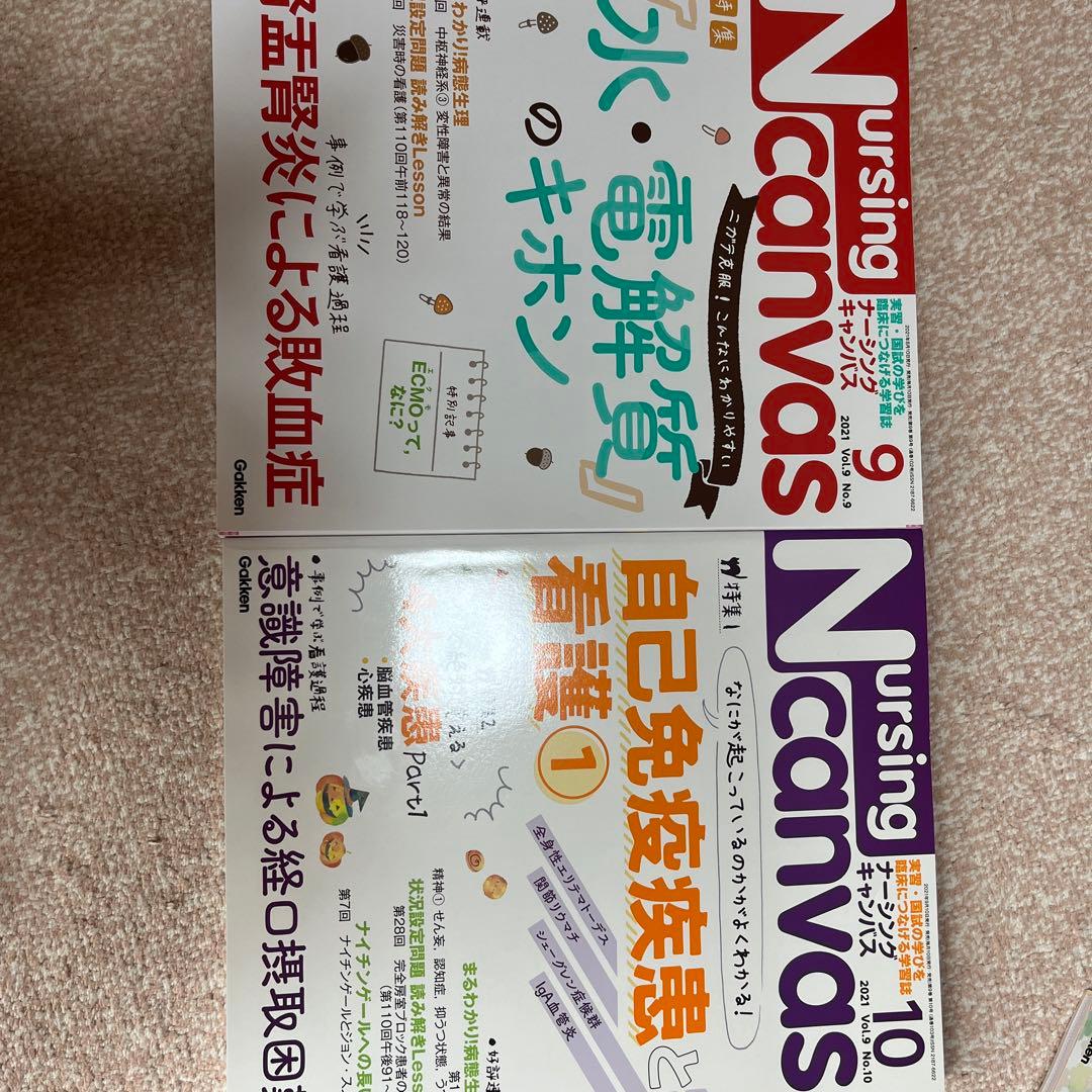 NursingCanvas2021年１月から12月号