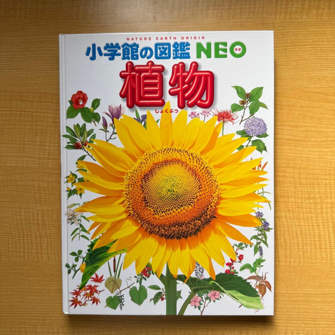 小学館の図鑑NEO　12冊まとめ売り