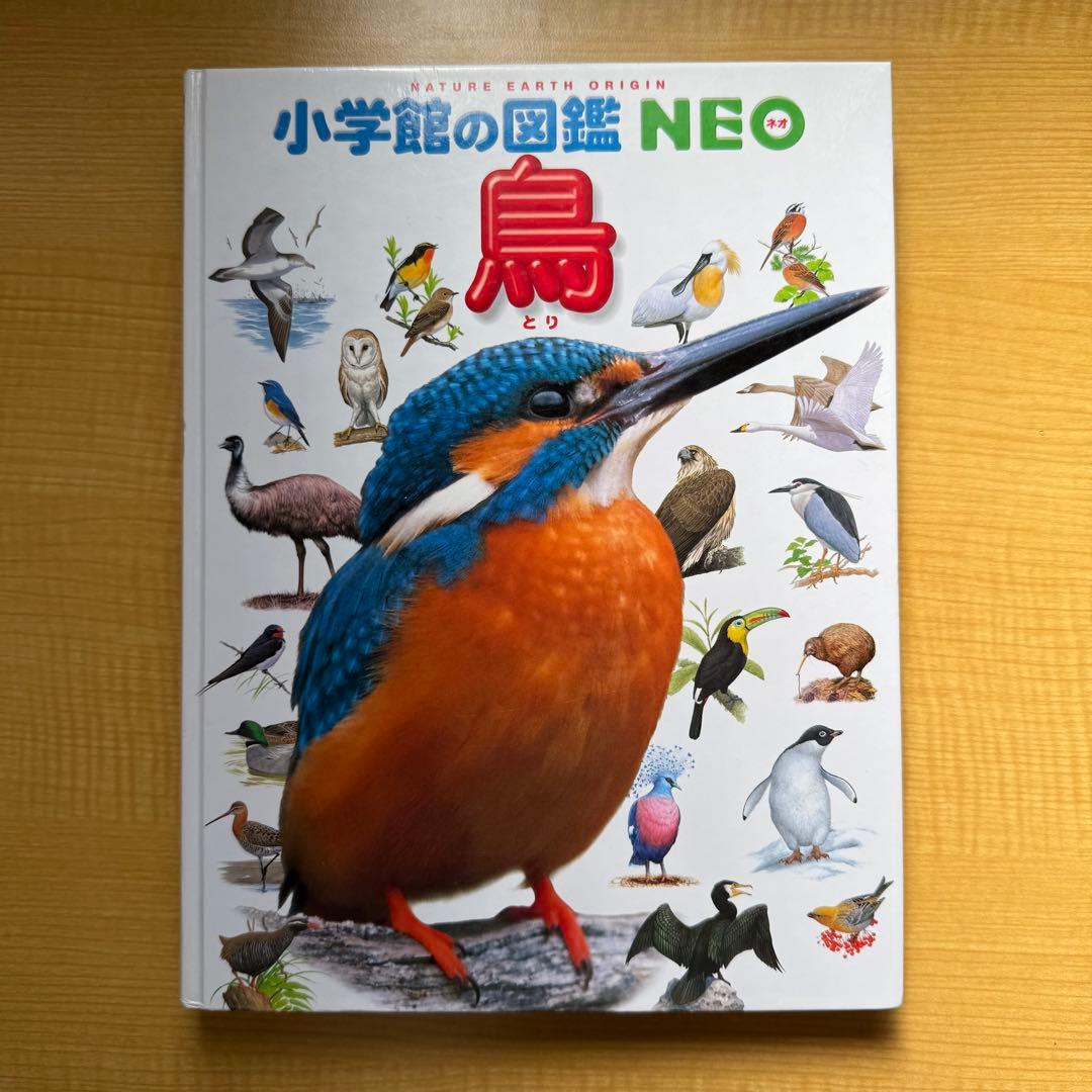 小学館の図鑑NEO　12冊まとめ売り