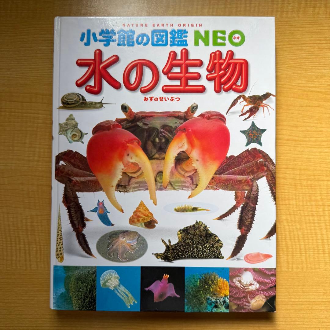小学館の図鑑NEO　12冊まとめ売り