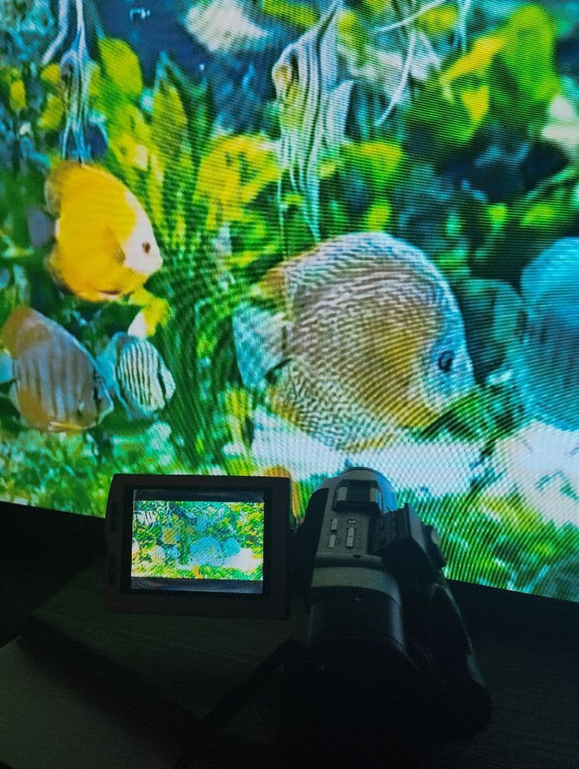 ソニー 動作 ◎ MiniDV ビデオカメラ DCR-TRV7 ミニdv