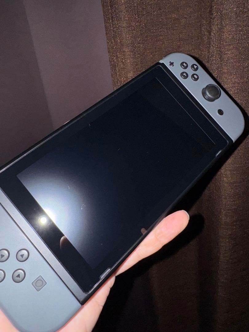 Nintendo Switch グレー 本体 ＋α