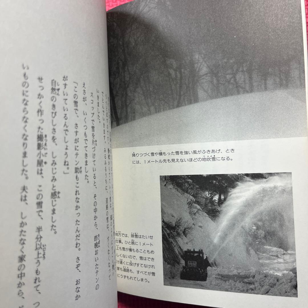 テンはロッジのお客さん