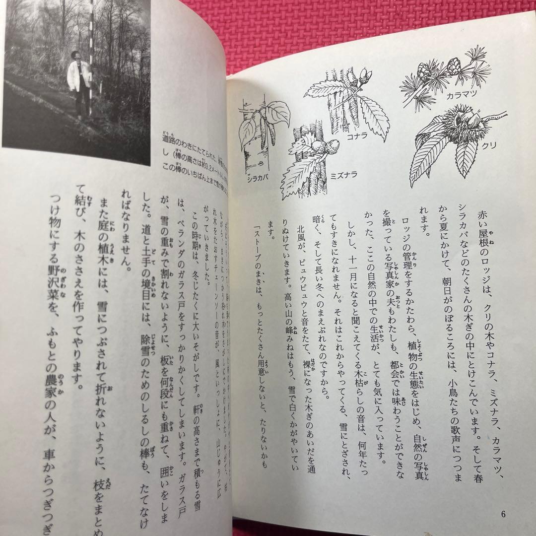 テンはロッジのお客さん