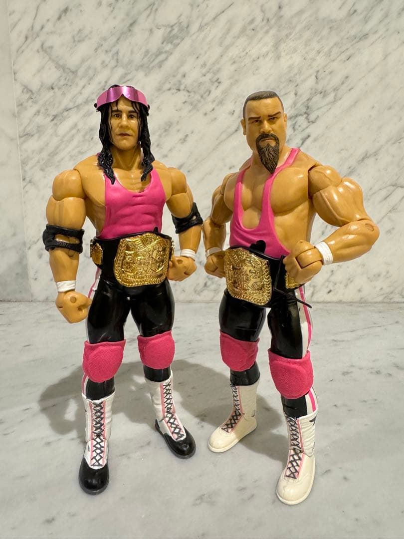 WWE WWF ハートファウンデーション ブレット ハート プロレス フィギュア