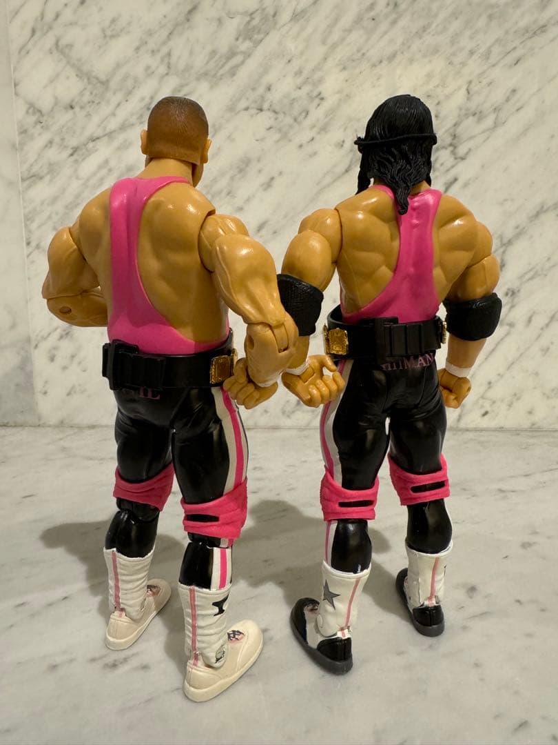 WWE WWF ハートファウンデーション ブレット ハート プロレス フィギュア
