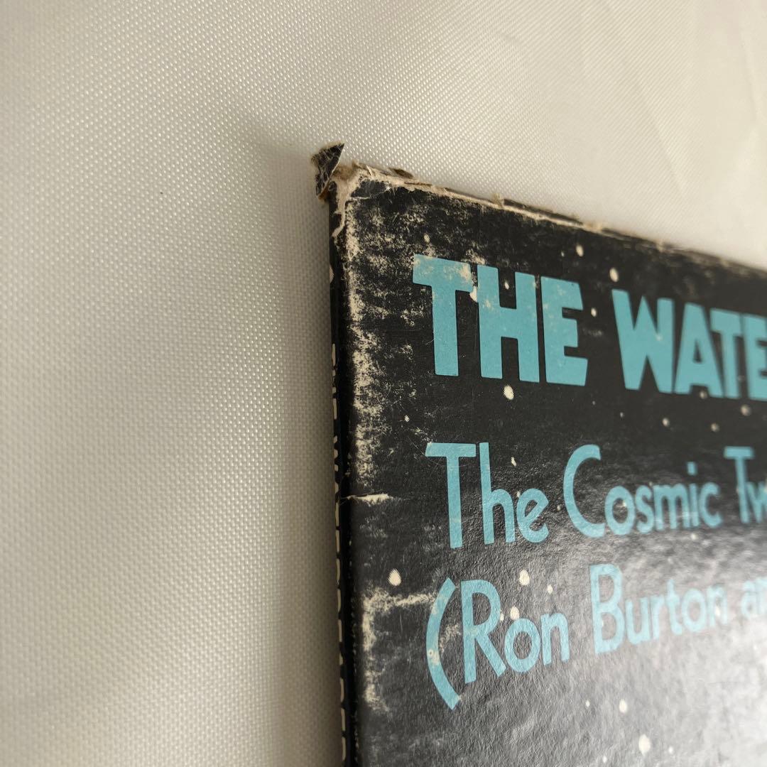 The Cosmic Twins–The Waterbearers