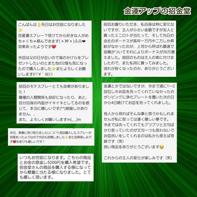 金運アップパワーストーンブレスレット『金運爆上げブレスレット 金運×財運』358