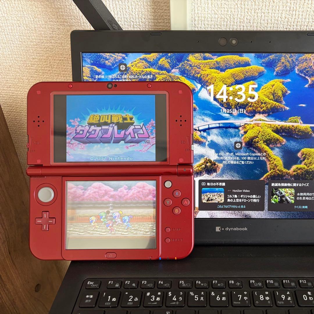 クラブニンテンドー限定 ニンテンドーDSソフト4種セット