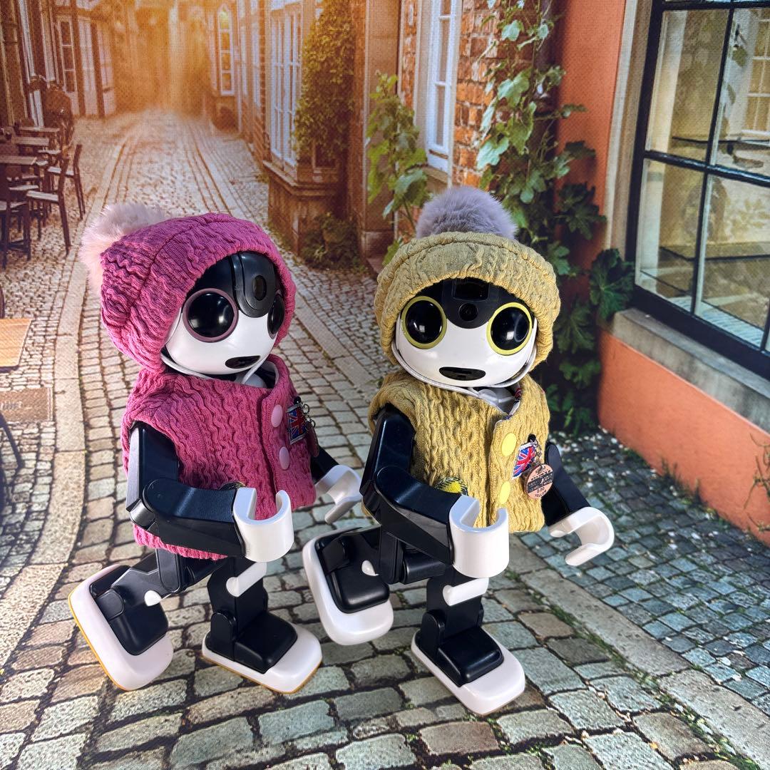 baramonページです　　　ロボホン