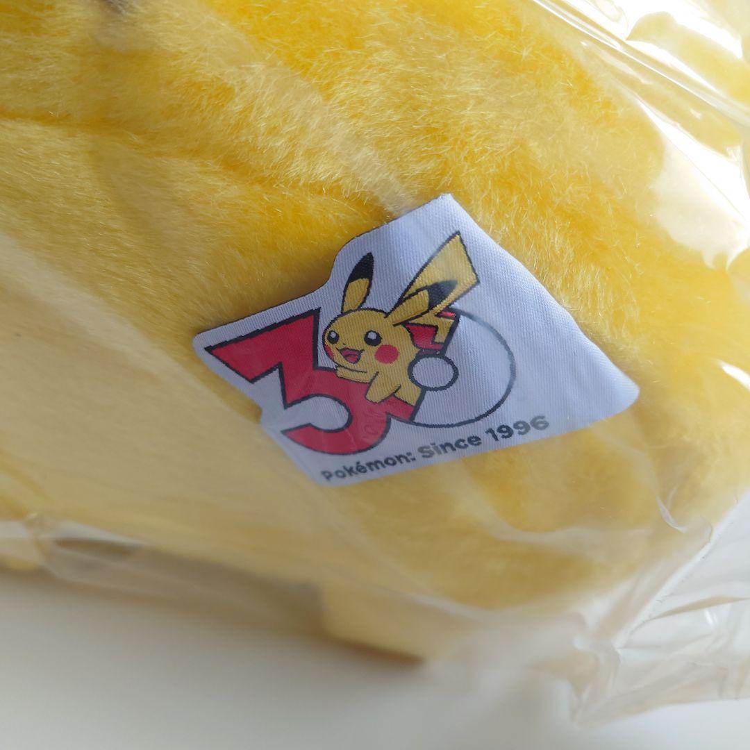 3点セット はじまりのピカチュウ ぬいぐるみ マスコット おかえりピカチュウ