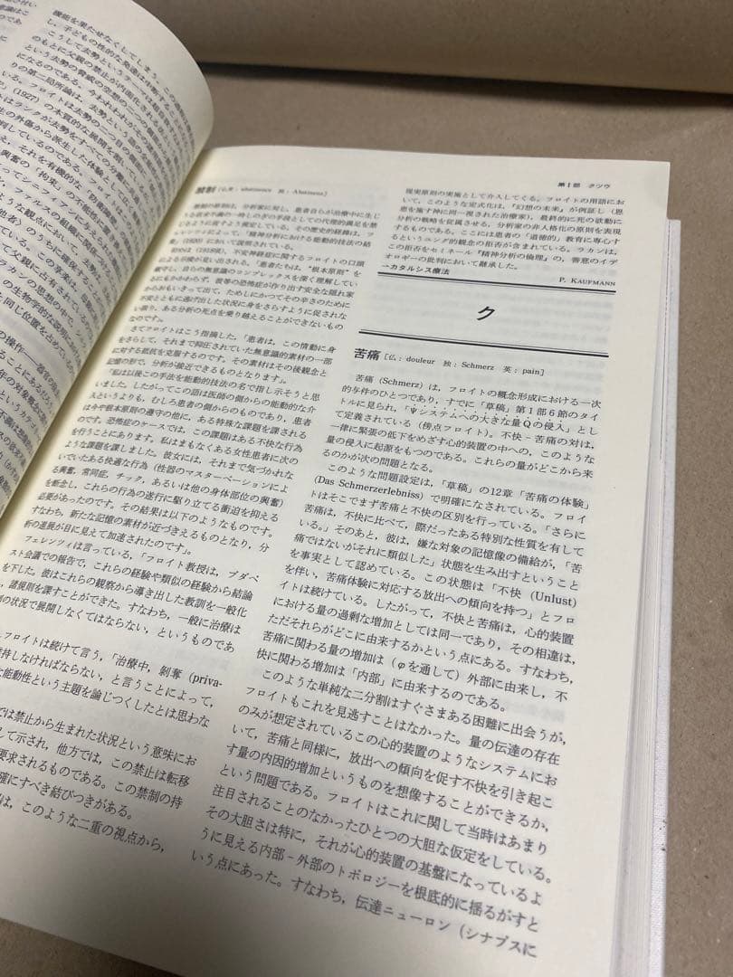 フロイト&ラカン事典