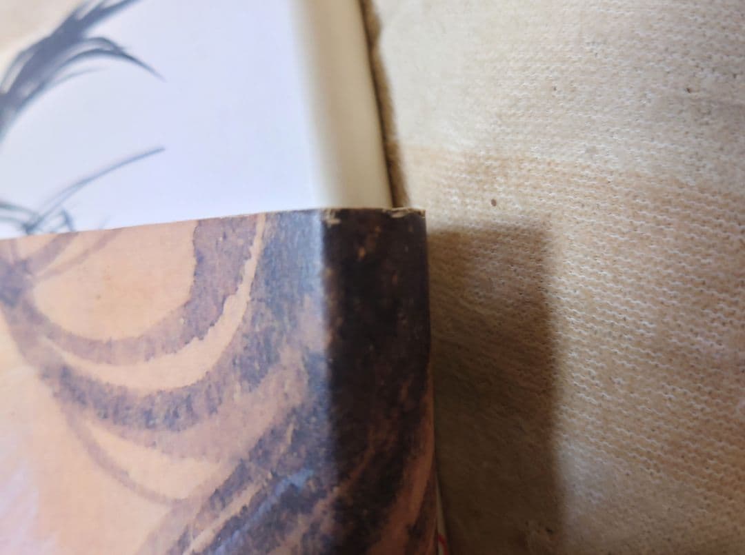 井上雄彦 画集2冊 BRUTUS1冊 セット